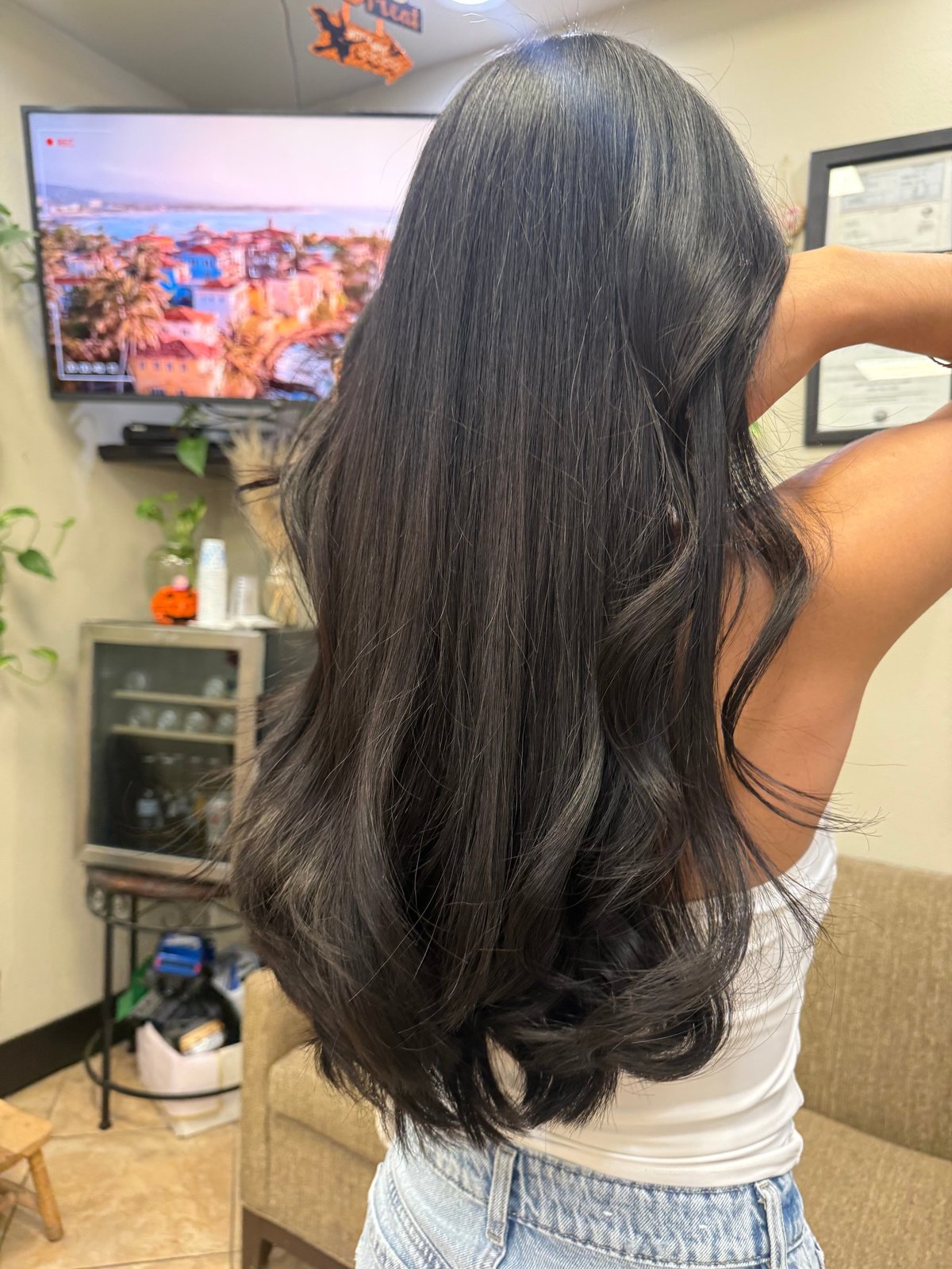 Woman from behind showing long dark wavy hair in casual home setting with TV and potted plants visible